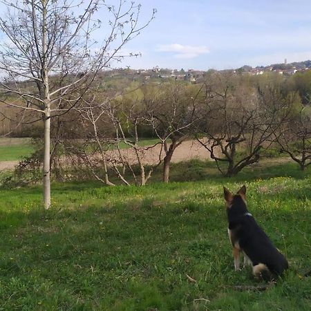 B&B Naturin - Cascina Colombaro Lauriano 外观 照片