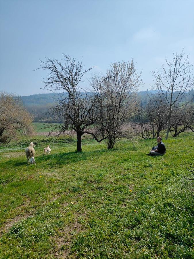 B&B Naturin - Cascina Colombaro Lauriano 外观 照片
